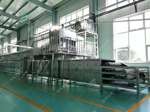 新手開辦一個(gè)粉條加工廠需要做什么準(zhǔn)備 投入多少